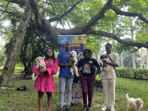 Brunch des petits chiens